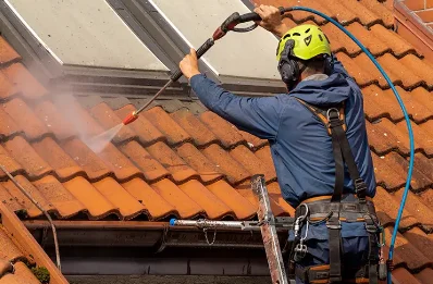 Démoussage et hydrofuge de toiture à Dizimieu